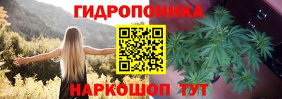 spice Обь