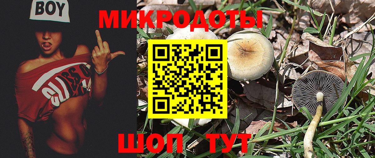 Галлюциногенные грибы мицелий Самара